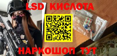 прущие грибы Новозыбков