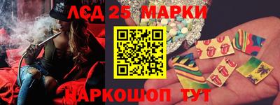 прущие грибы Новозыбков