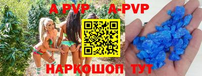 прущие грибы Новозыбков